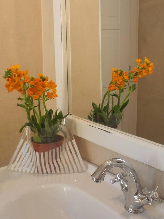 Via D'Acqua Al Mulino -City Center- Bo Болоня Екстериор снимка